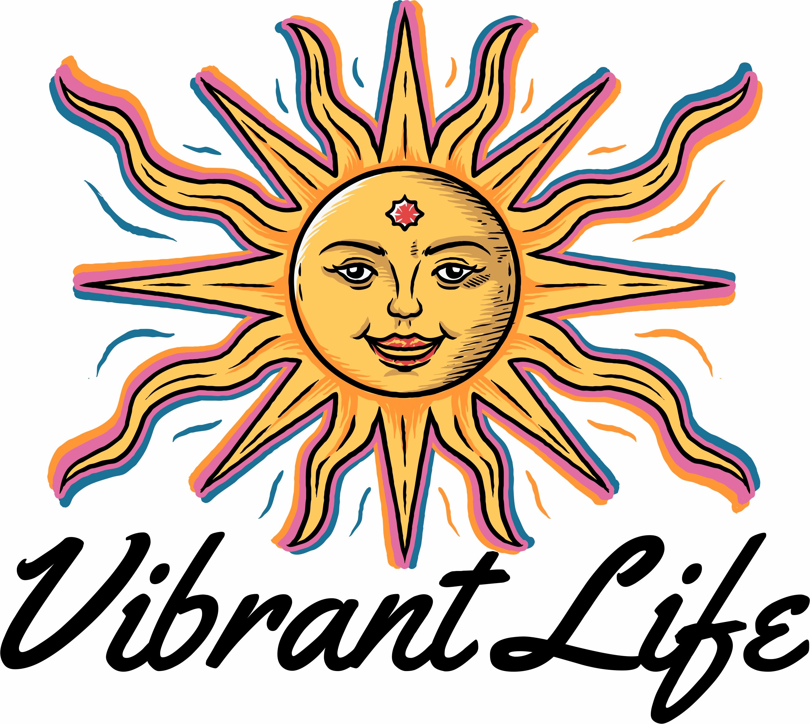 Vibrant Life Meals